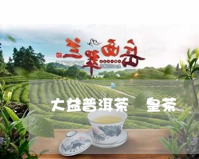 大益普洱茶 皇茶/2023031628162